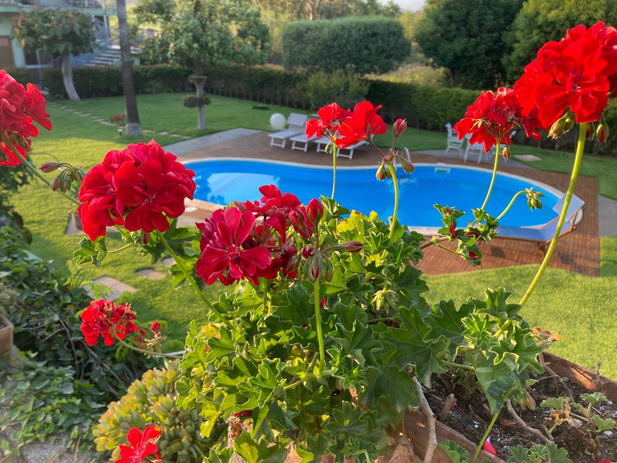 Villa Con Piscina Esclusiva Vista Etna Mascali Ngoại thất bức ảnh