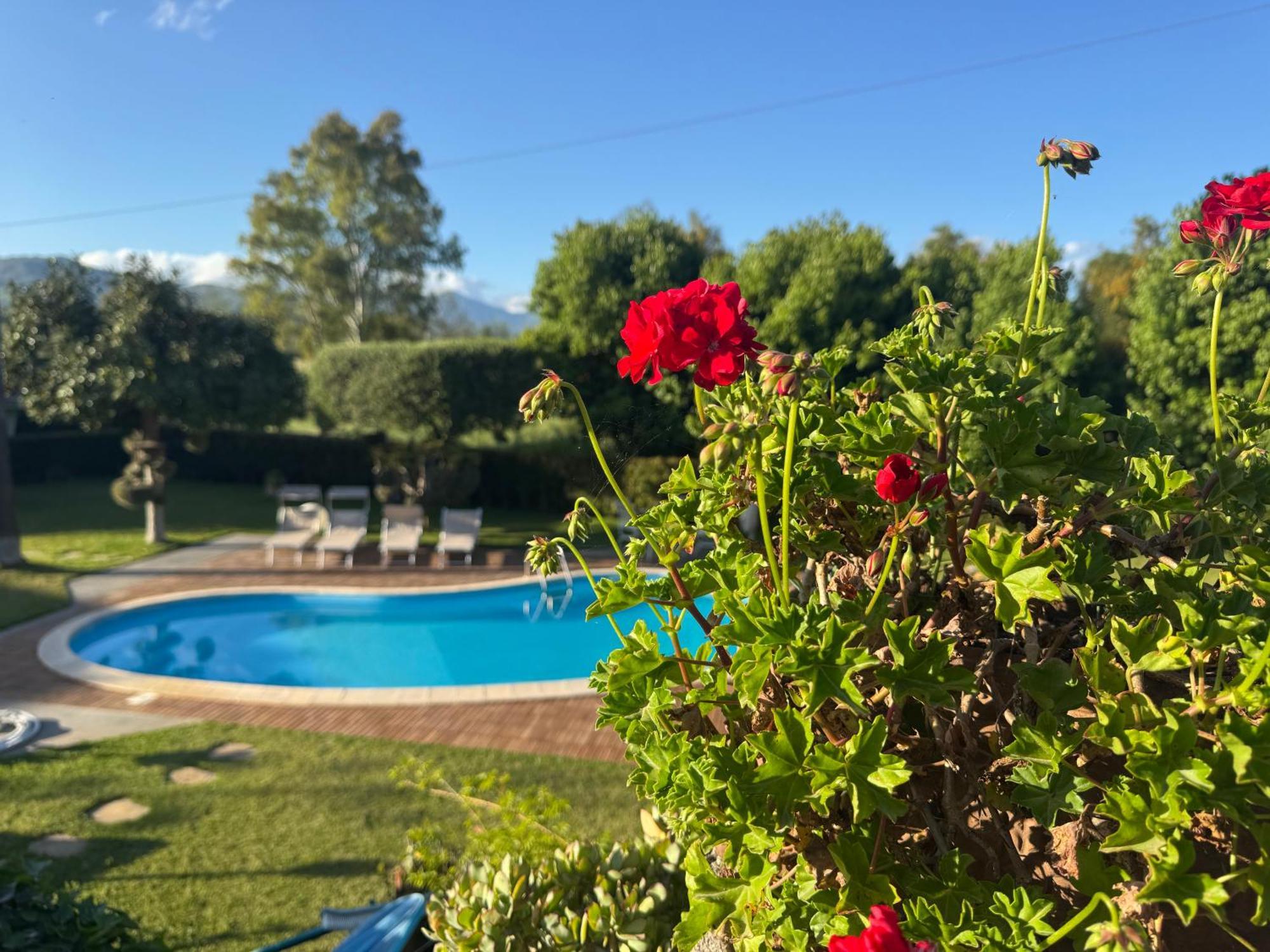 Villa Con Piscina Esclusiva Vista Etna Mascali Ngoại thất bức ảnh