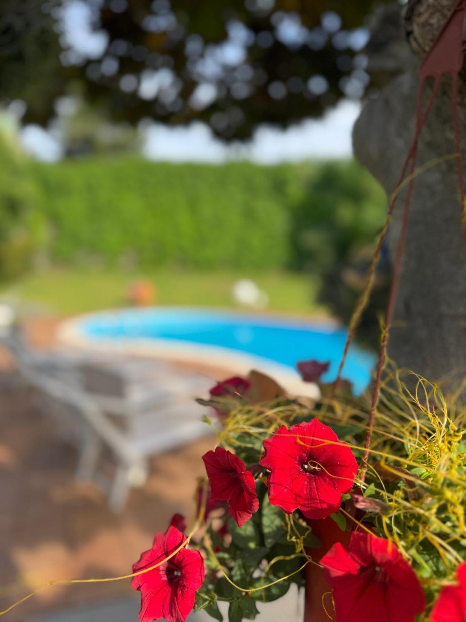 Villa Con Piscina Esclusiva Vista Etna Mascali Ngoại thất bức ảnh