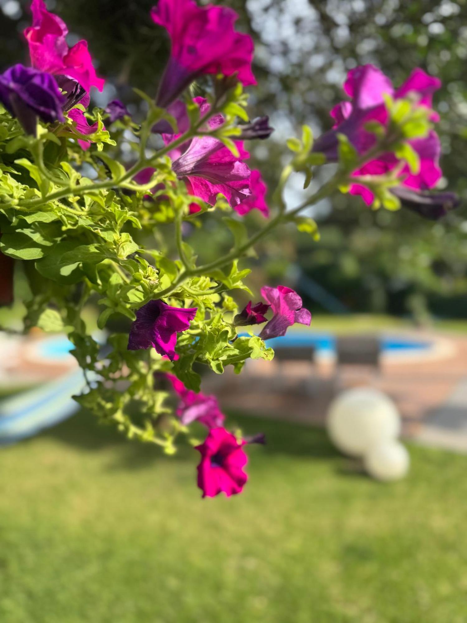 Villa Con Piscina Esclusiva Vista Etna Mascali Ngoại thất bức ảnh